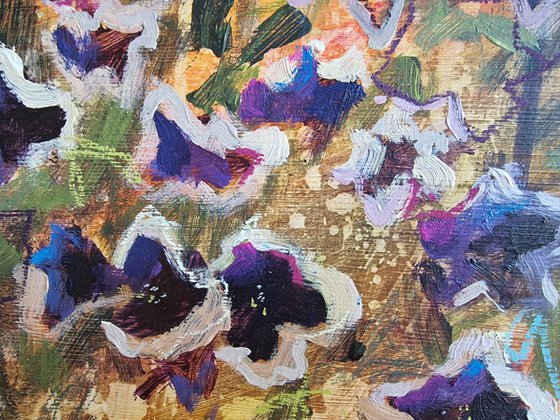 Midnight Starry Petunias