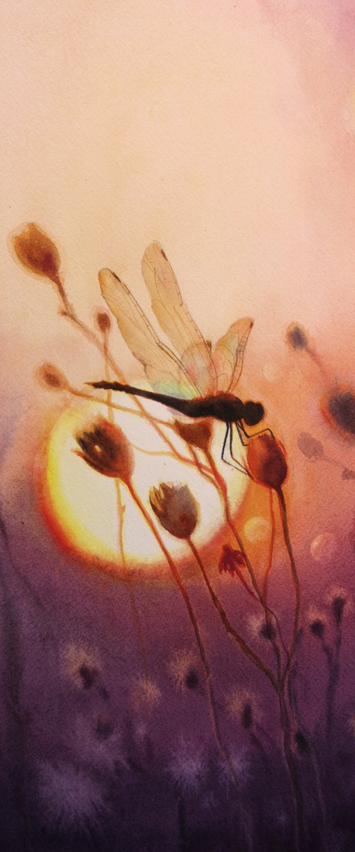 Dragonfly on the sunset - wate by Olga Beliaeva Watercolour