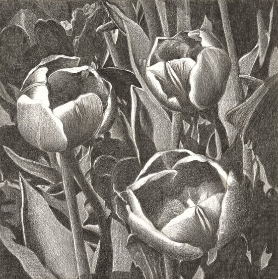 TULIP FEVER VIII