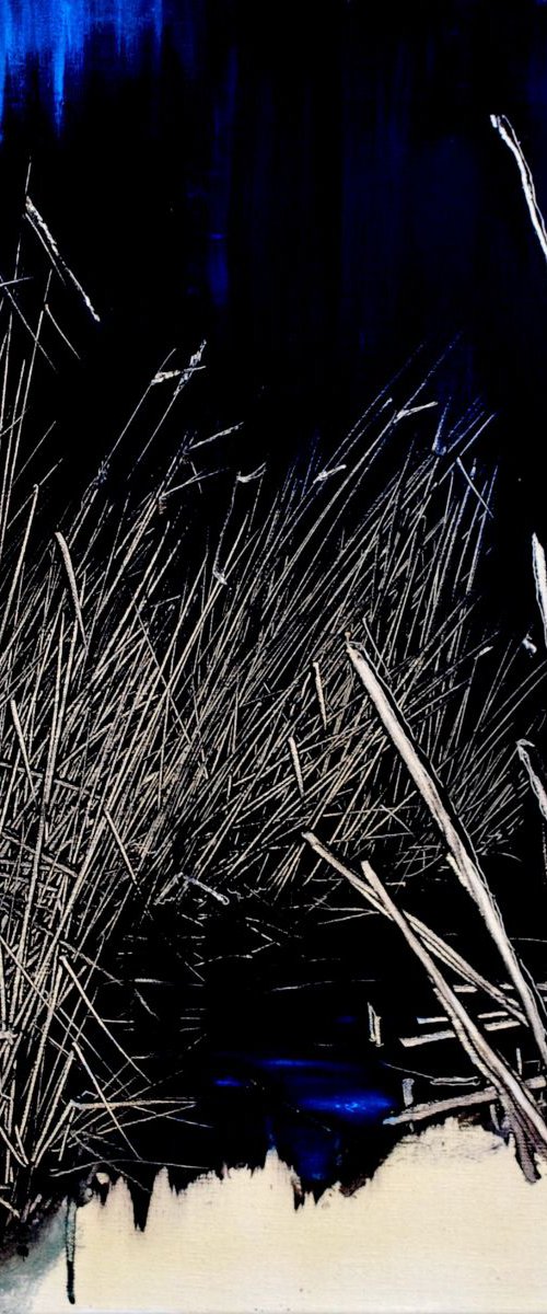 reeds night by antonio maggio carluccio