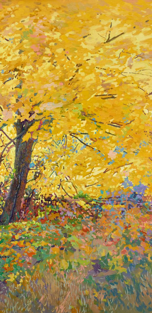 Autumn Maple by Simon Kozhin