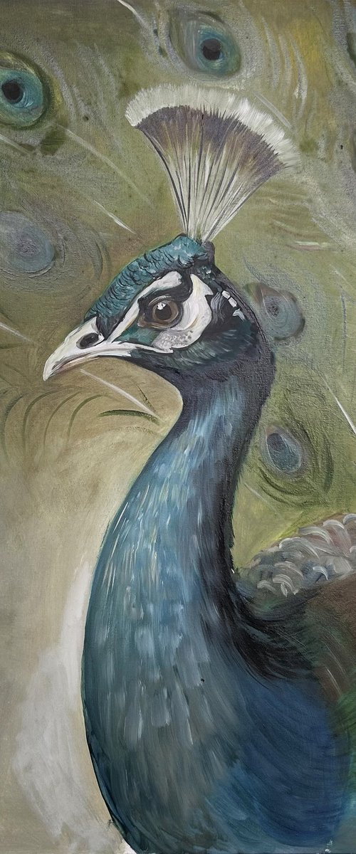 Portrait of a Peacock by Angel Hakobyan