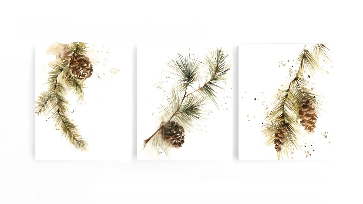 Pine Tree Branches with Pine Cones watercolor paintings 3 set by Sophie Rodionov