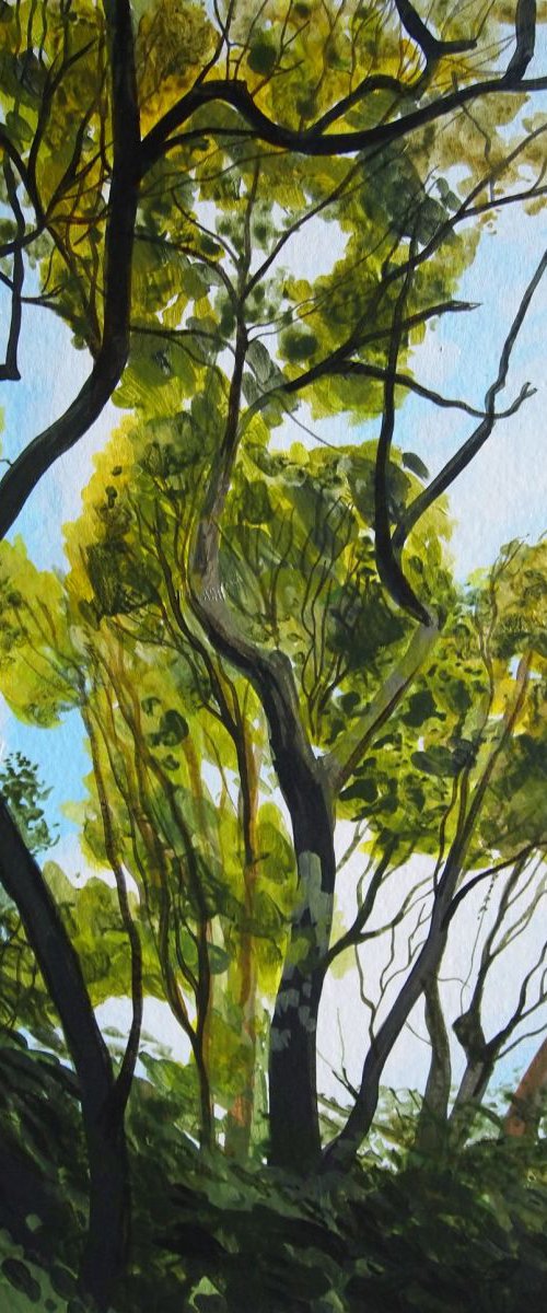 Tree Study #4 by Kitty  Cooper