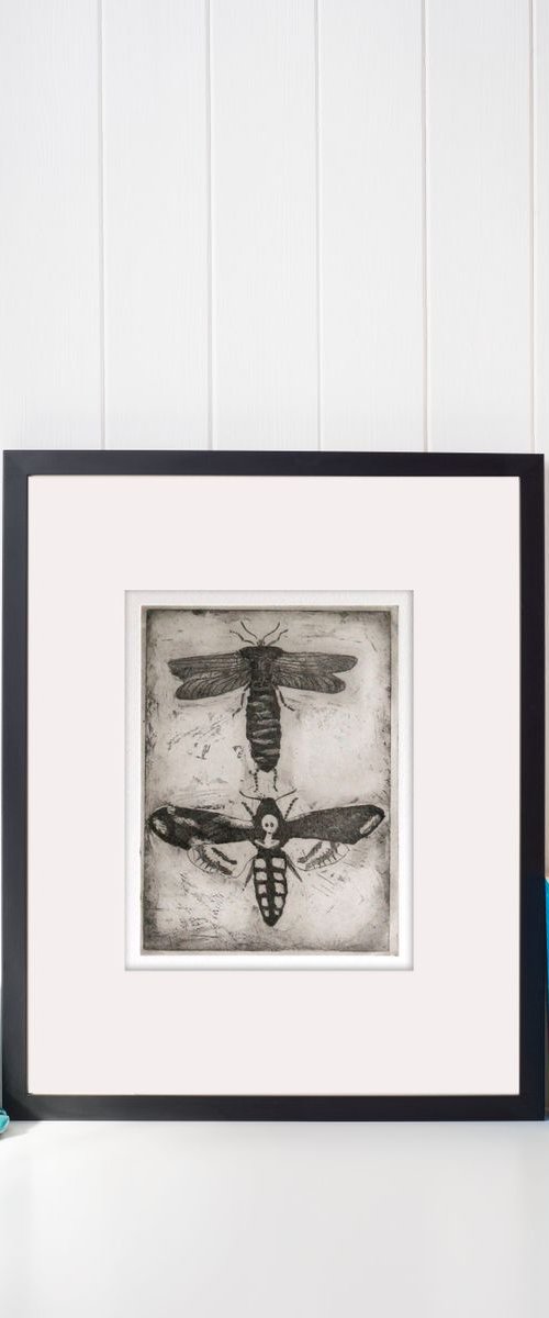 Moths by Kate Watkins