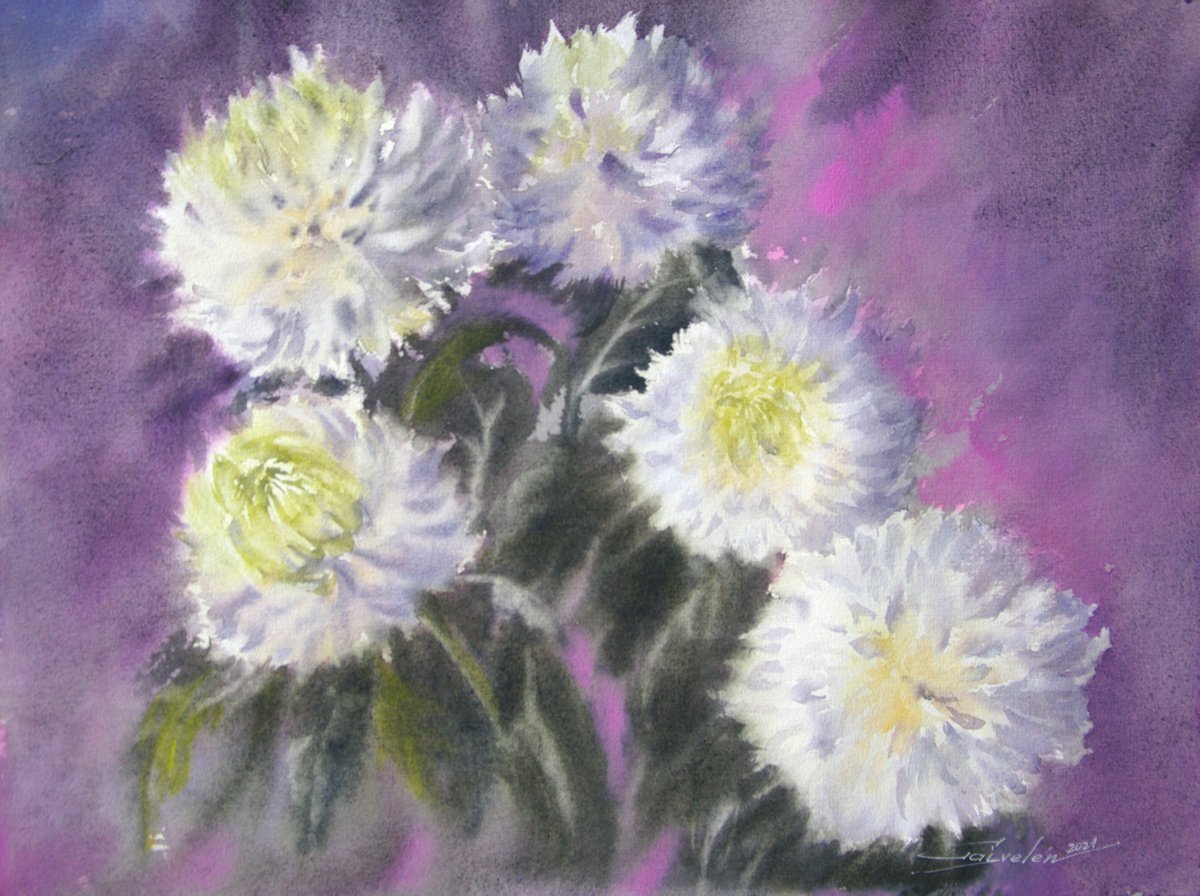 White chrysanthemums by Elena Gaivoronskaia