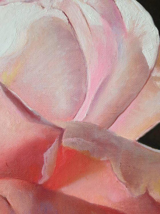 "With the first rays..." rose painting 2021