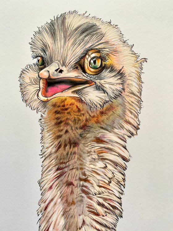 'Octavia’