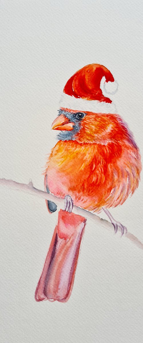 Feeling Festive with Cardinal by Neha Soni