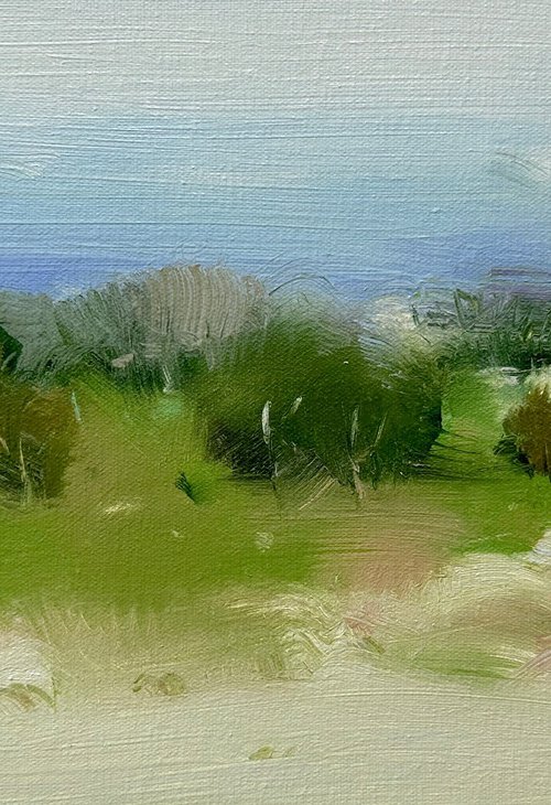 Summer View, Original oil painting, Handmade artwork, One of a kind by Vahe Yeremyan