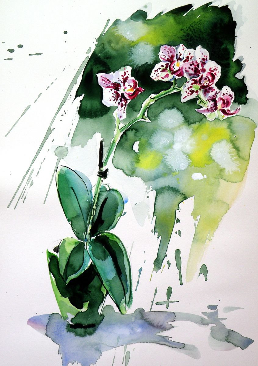 Little orchidea by Kovacs Anna Brigitta