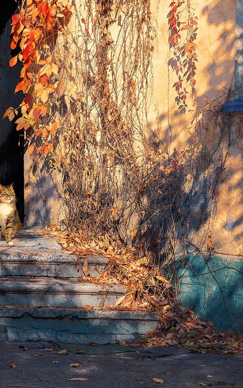 Warmed by the sun. by Valerix