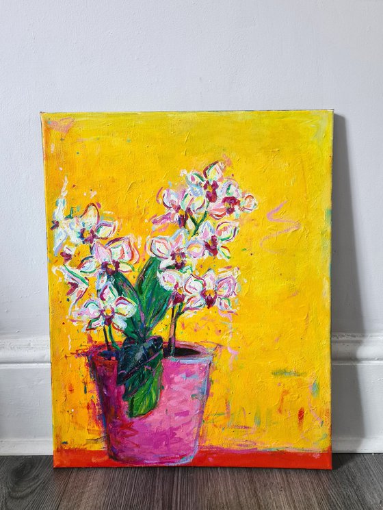 Orchids