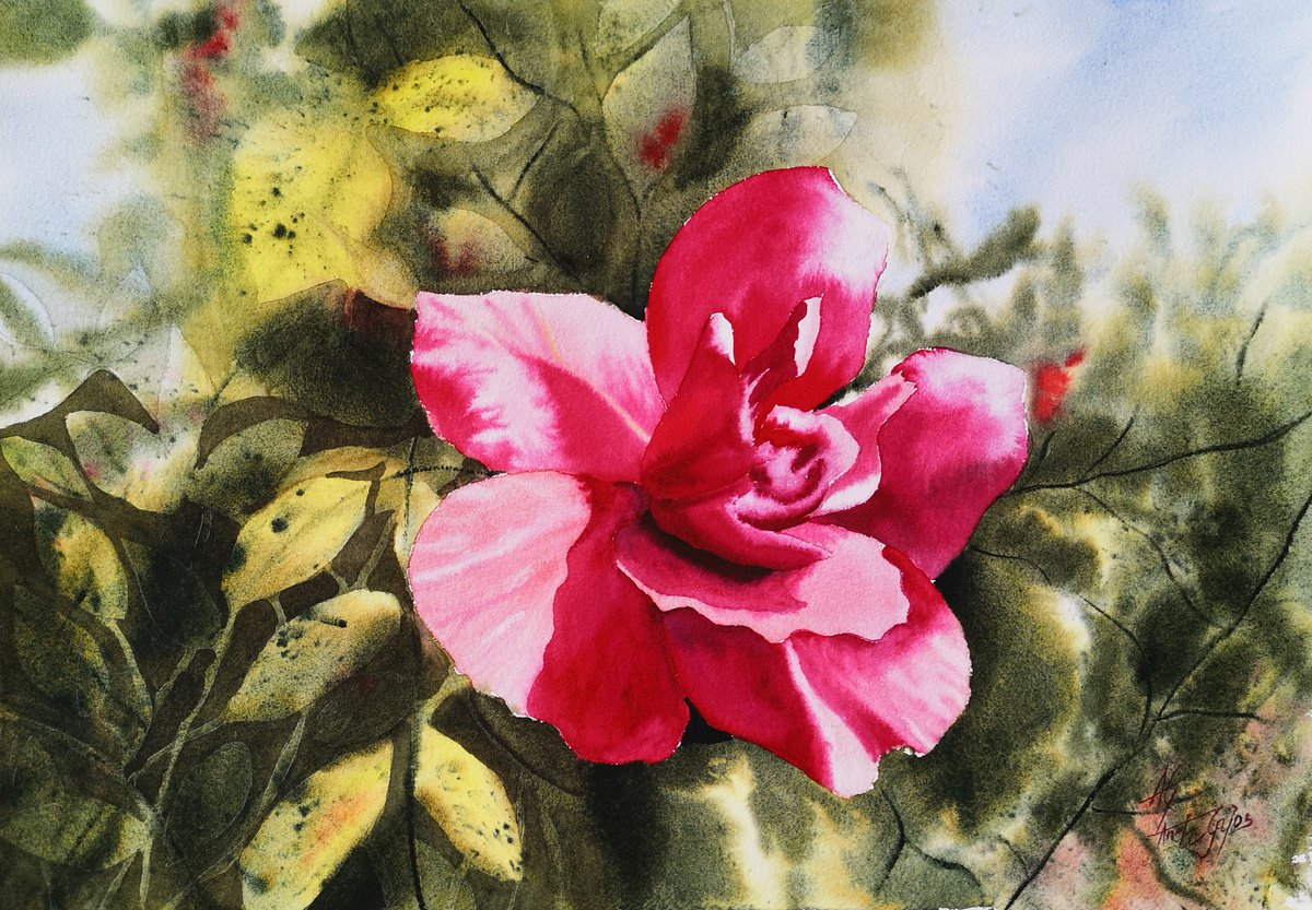 Impressionistic Botanical Watercolour By Aneta Gajos, 20 X 14, Red Lady, Original Artwork