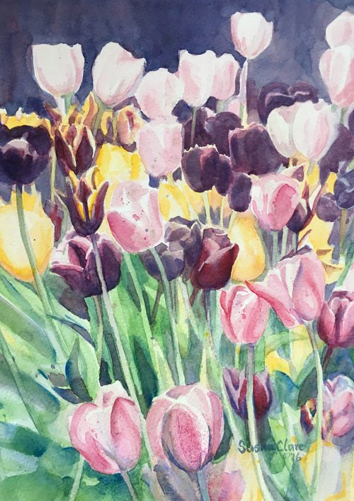 Tulips 2 by Susan Clare