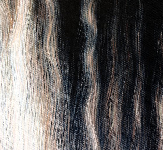 Light on the horse's mane