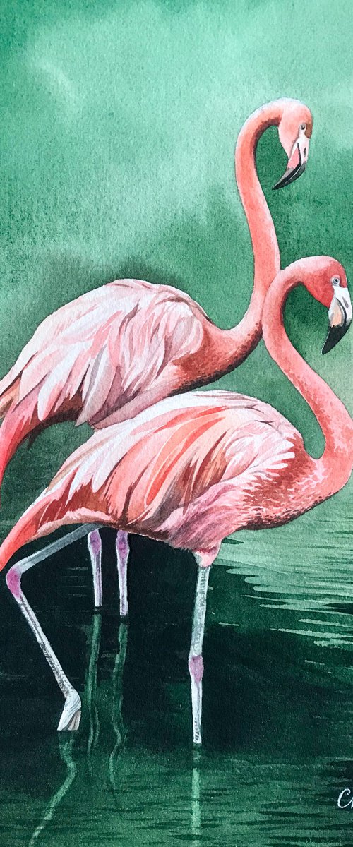 Flamingos by Kakajan Charyyev