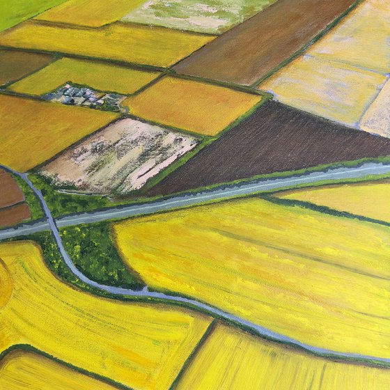 Fields oF Gold