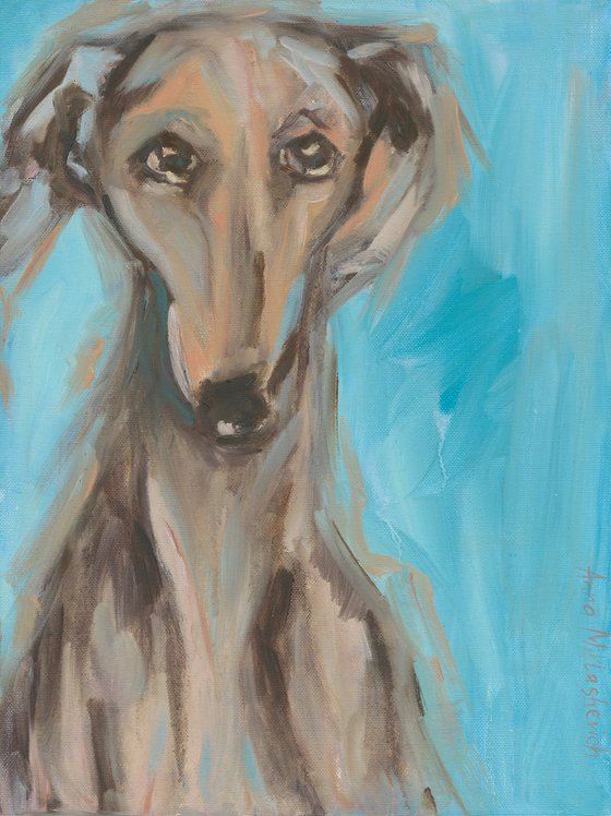 Portrait of a cute dog Saluki - the Persian Greyhound