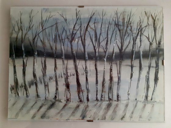 Row of trees in snowy landscape