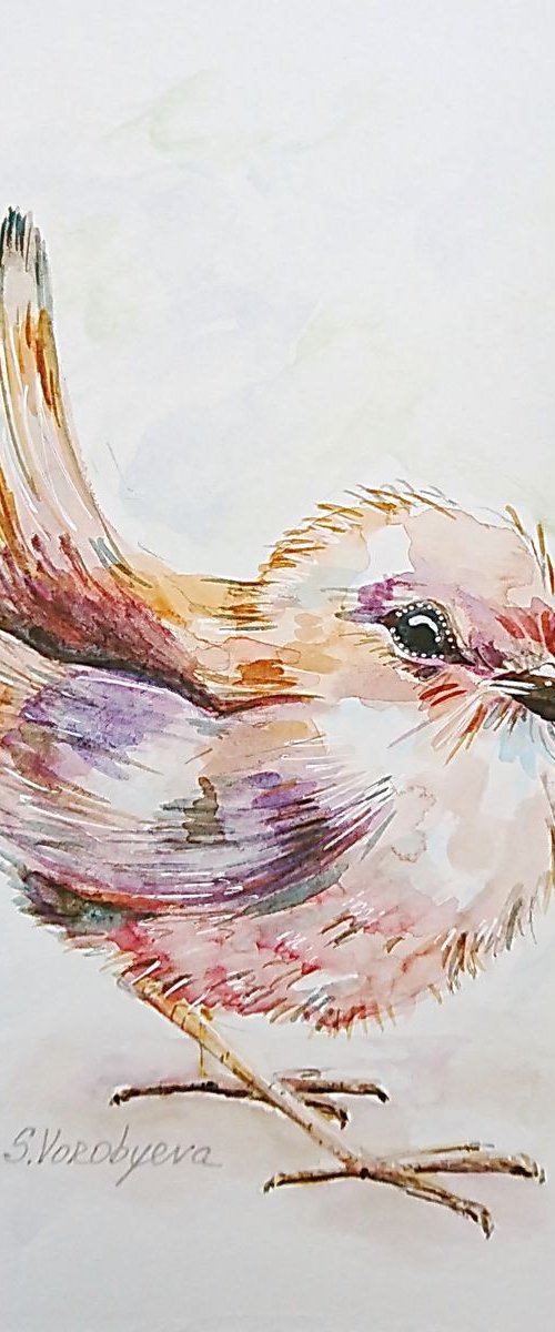 Birds #1. Original watercolor painting. Part of the series "Birds" by Svetlana Vorobyeva