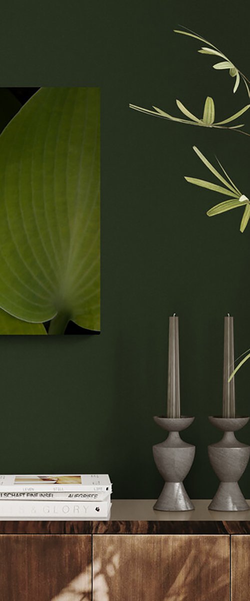 The Architecture of Leaves by Kristine Okuneva