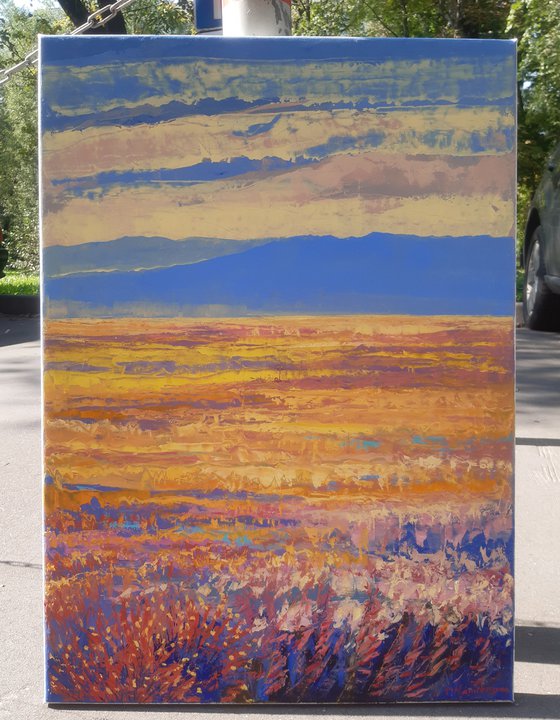 Orange Field 50x70cm