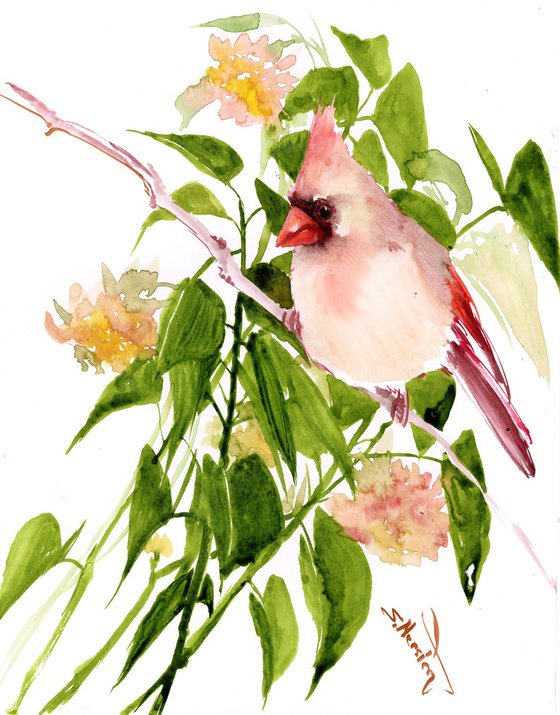 Cardinal Bird