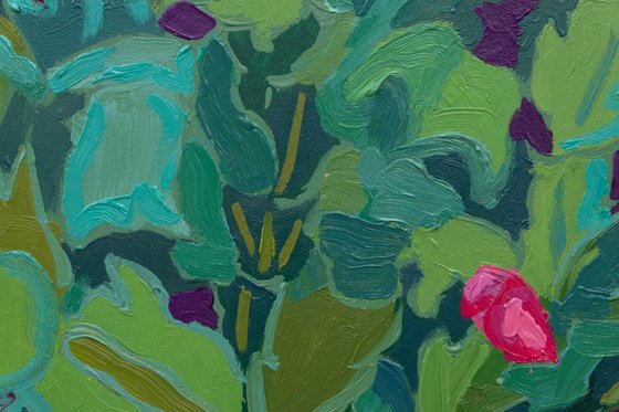 Holiday cactus