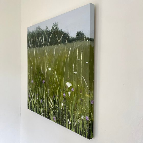 Purple Clover Meadow