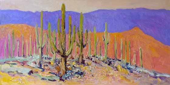Desert Peace. Saguaros