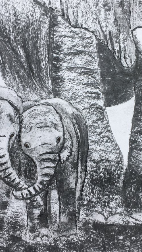 Elephant babies by Ruth Searle