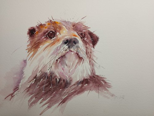 Otter in watercolour by Sue  Green