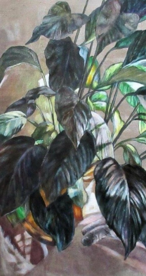 Serenity by Nadezda Stupina