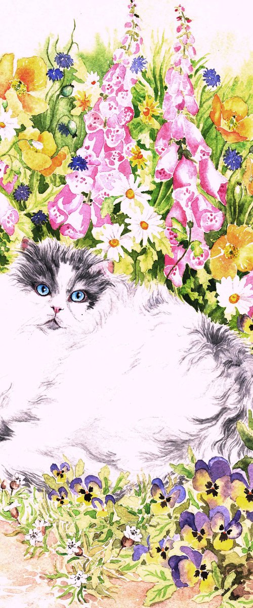 Persian Cat and Pansies by Zoe Elizabeth Norman