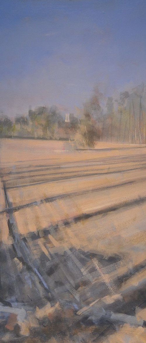 January ploughed field by Tom Cringle