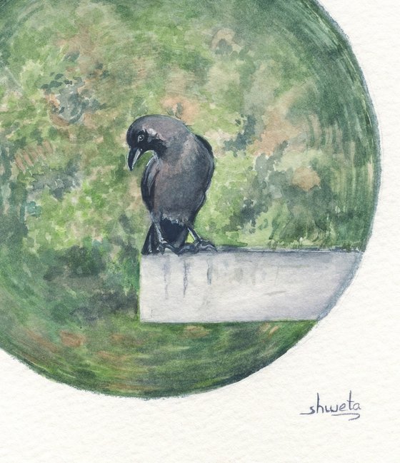 Indian Crow