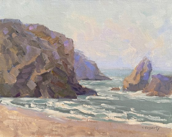 Rocky Cliffs At Cooks Beach