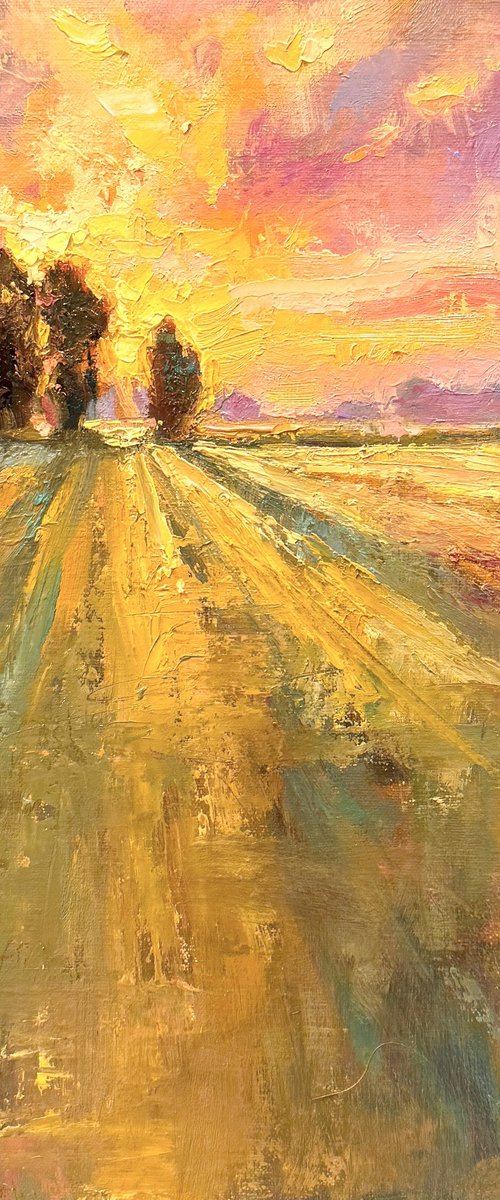 Fields of Gold by Emily Lane