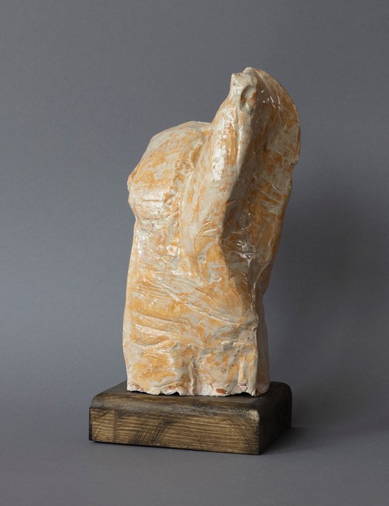 "Male Torso II"