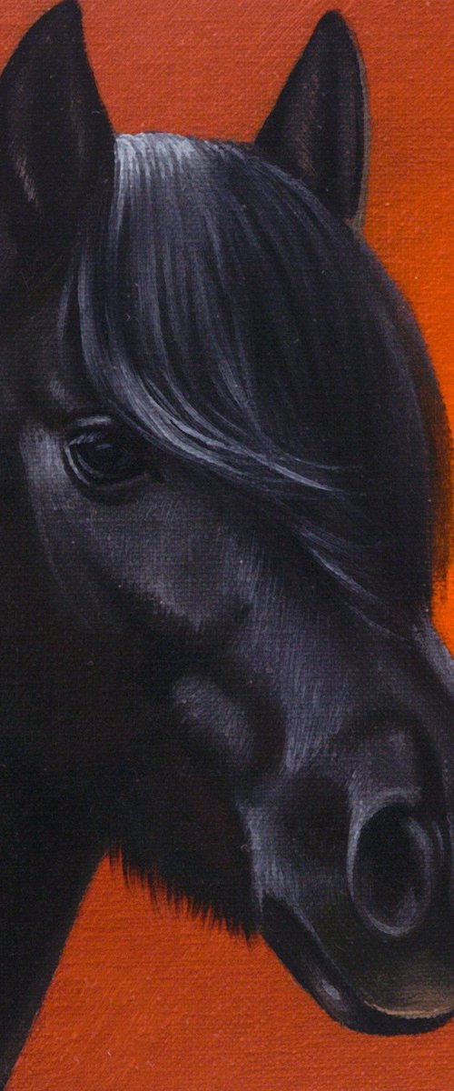 Horse Portrait 77 by Anastasia Parfilo