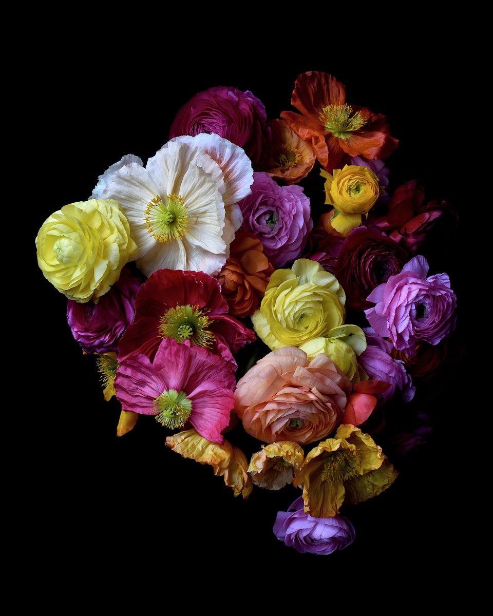 Botanical Photograph By Nadia Culph, 24 X 30", Poppies And Buttercups, Original Artwork