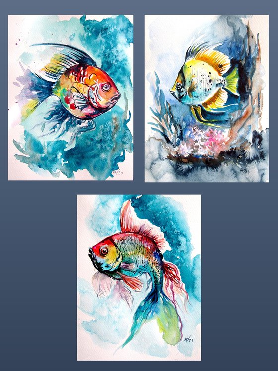 Fish collection