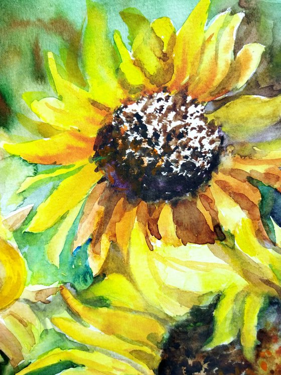 Sunflowers watercolor