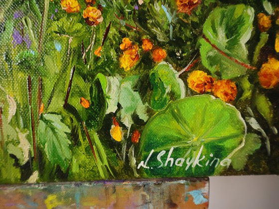 Vibrant Summer Garden