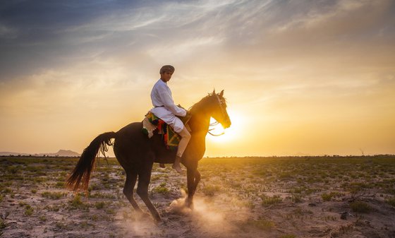 Last Light, Oman