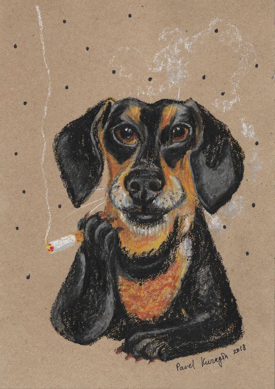 Smoking Dachshund