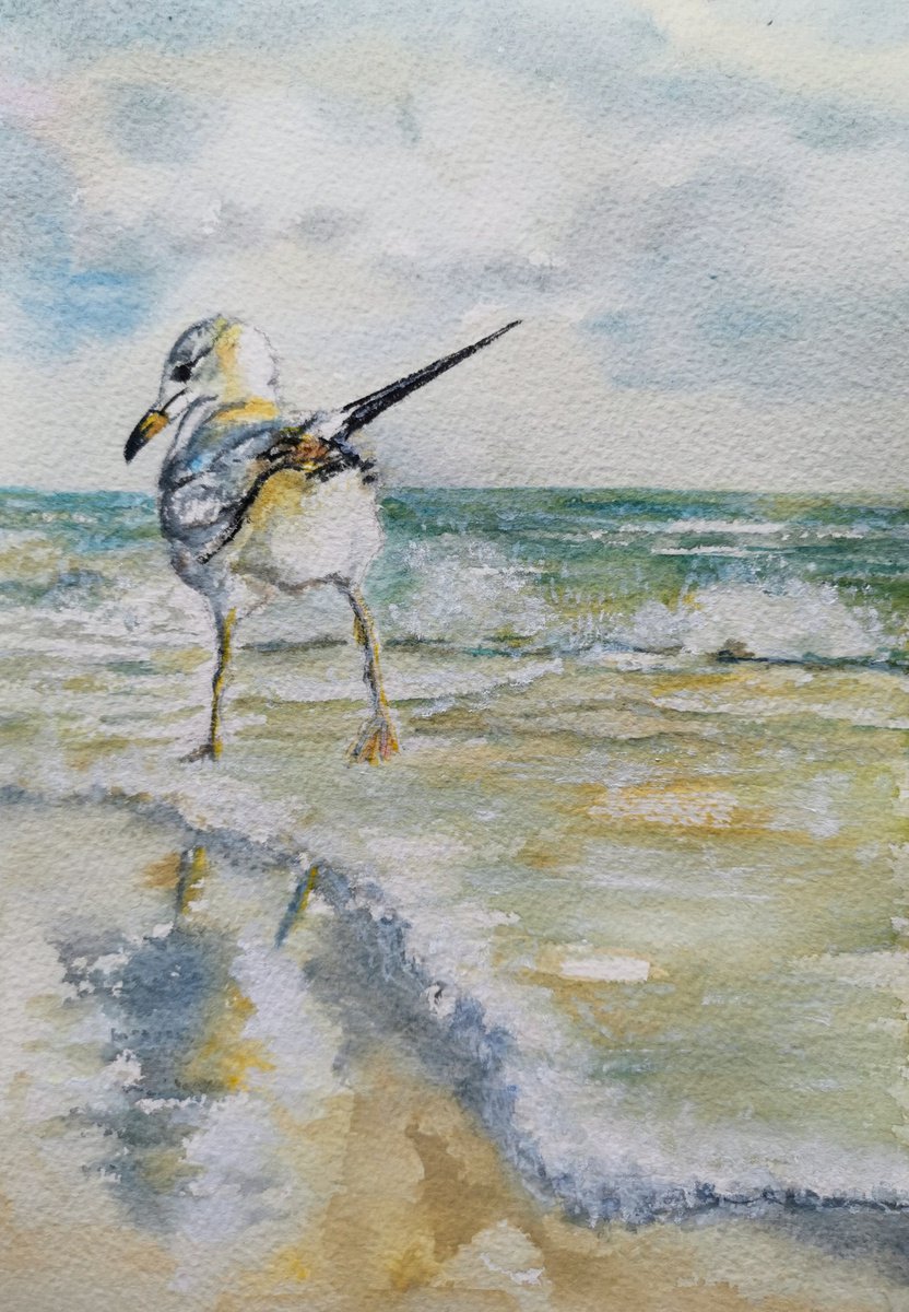 Seagull by Elina Venkova
