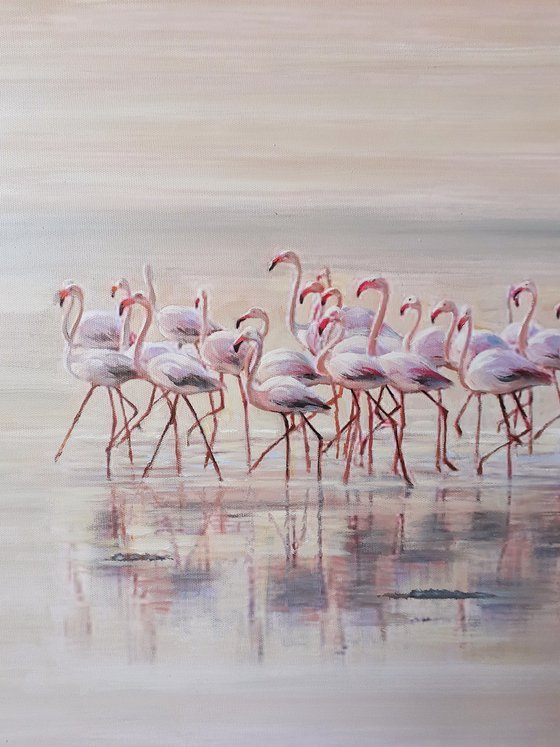 A MORNING BEACH PATROL / FLAMINGOS