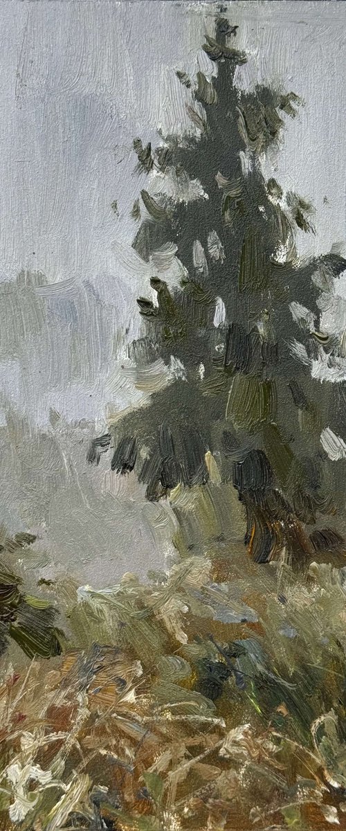 Fog in the Carpathians by Nataliia Nosyk